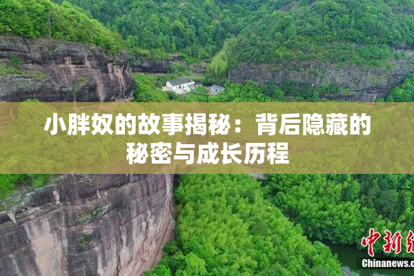 小胖奴的故事揭秘：背后隐藏的秘密与成长历程