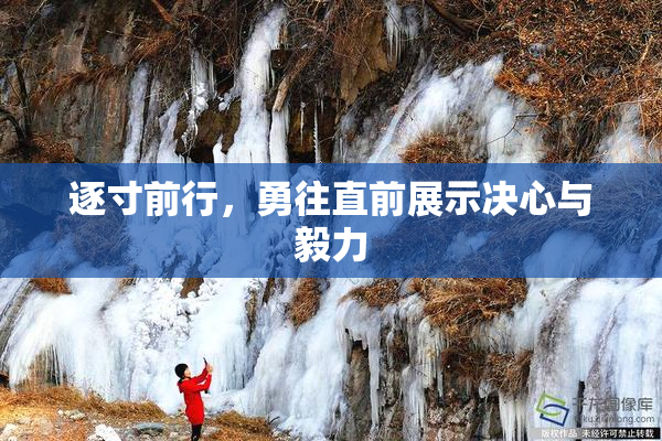 逐寸前行，勇往直前展示决心与毅力
