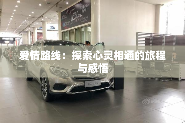 爱情路线：探索心灵相通的旅程与感悟