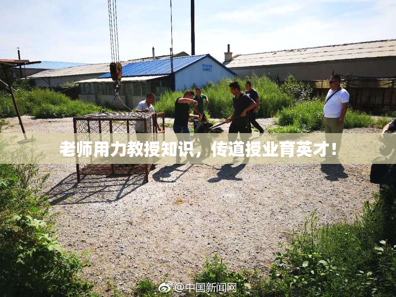 老师用力教授知识，传道授业育英才！