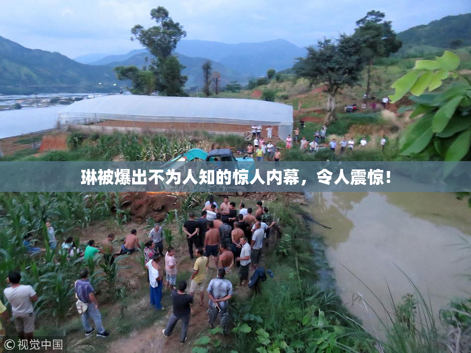 琳被爆出不为人知的惊人内幕，令人震惊！