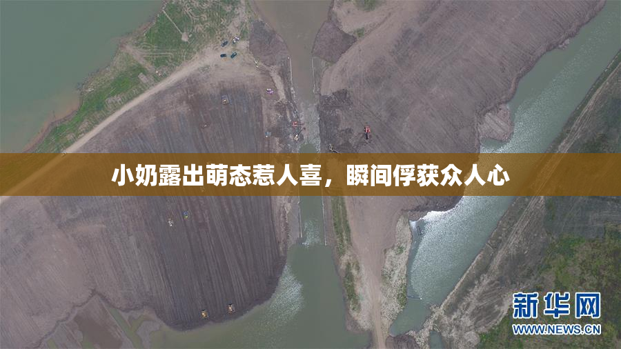 小奶露出萌态惹人喜，瞬间俘获众人心