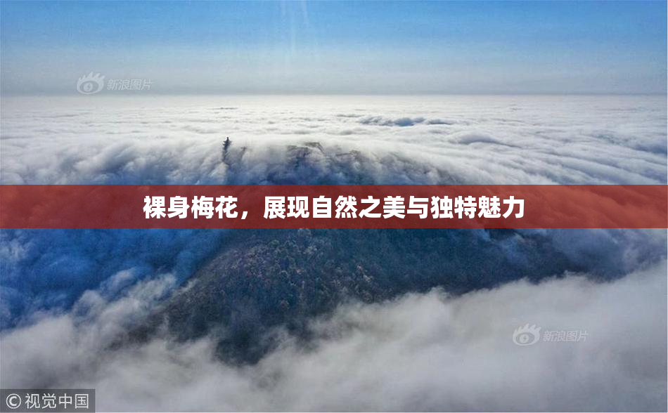 裸身梅花，展现自然之美与独特魅力