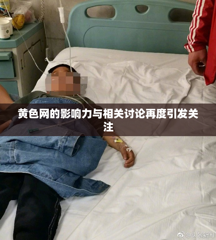 黄色网的影响力与相关讨论再度引发关注