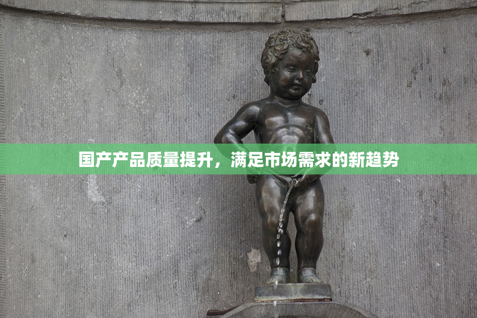国产产品质量提升，满足市场需求的新趋势