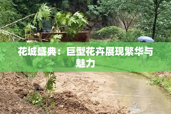 花城盛典：巨型花卉展现繁华与魅力