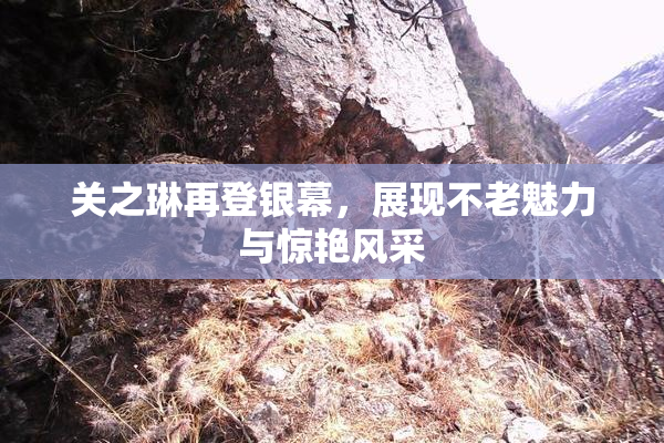 关之琳再登银幕，展现不老魅力与惊艳风采