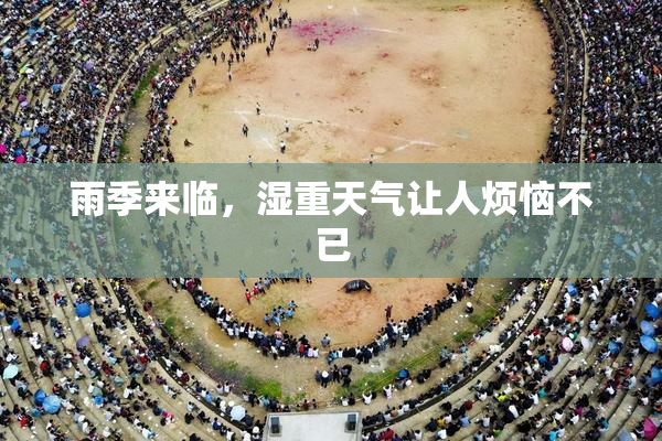 雨季来临，湿重天气让人烦恼不已