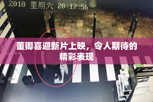 董卿喜迎新片上映，令人期待的精彩表现
