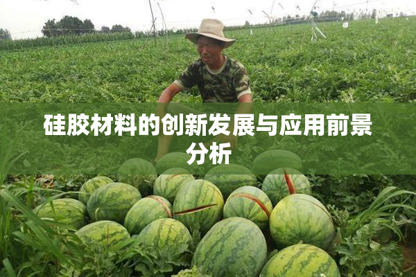 硅胶材料的创新发展与应用前景分析