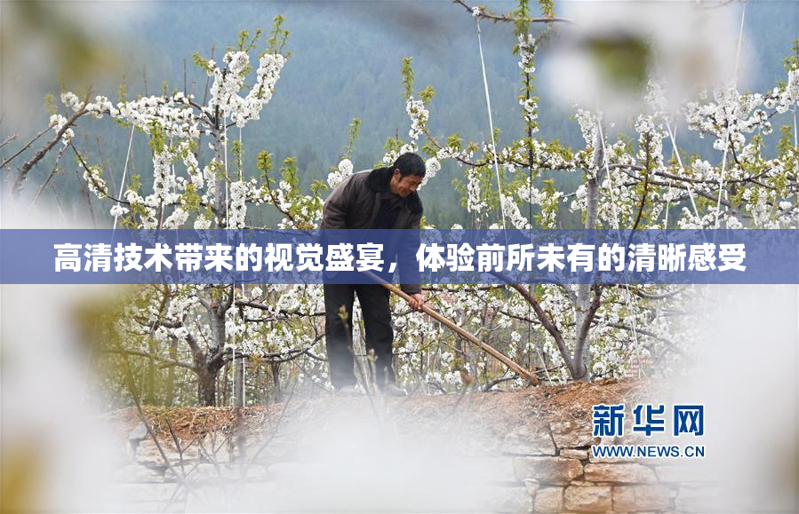 高清技术带来的视觉盛宴，体验前所未有的清晰感受