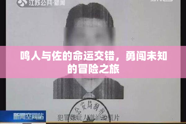 鸣人与佐的命运交错，勇闯未知的冒险之旅