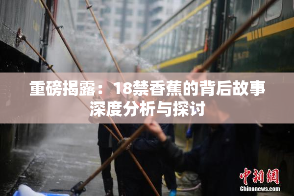 重磅揭露：18禁香蕉的背后故事深度分析与探讨
