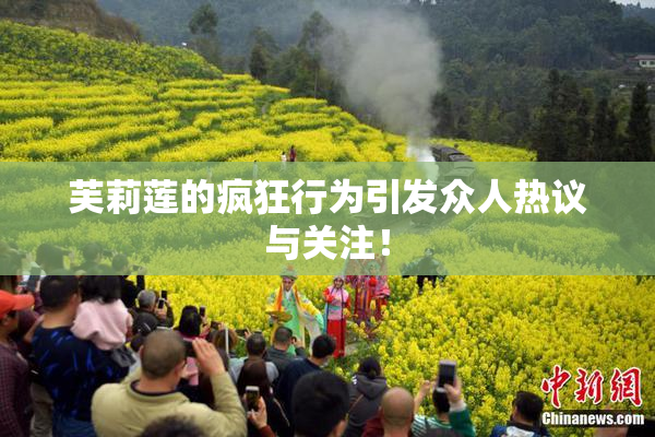 芙莉莲的疯狂行为引发众人热议与关注！