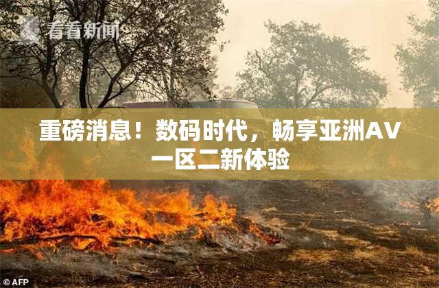 重磅消息！数码时代，畅享亚洲AV一区二新体验