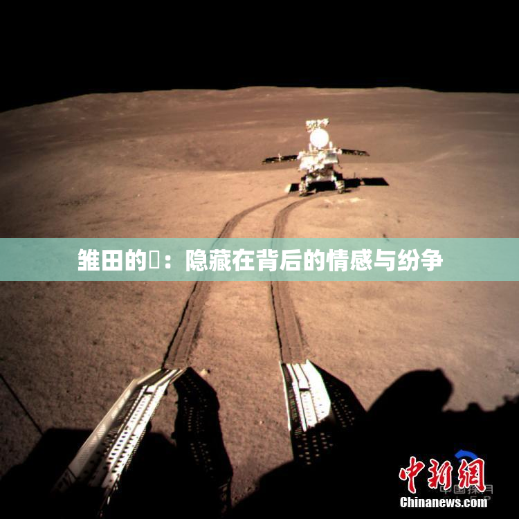雏田的婬：隐藏在背后的情感与纷争