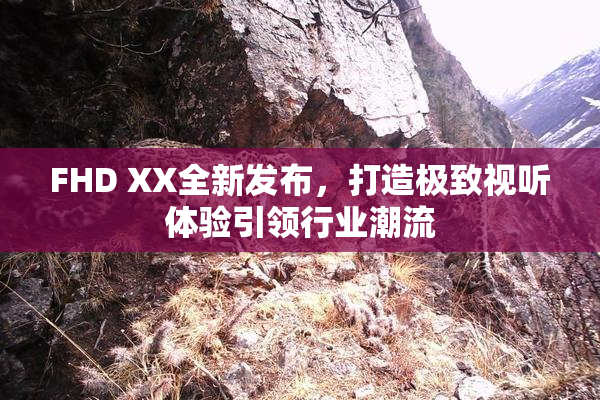 FHD XX全新发布，打造极致视听体验引领行业潮流