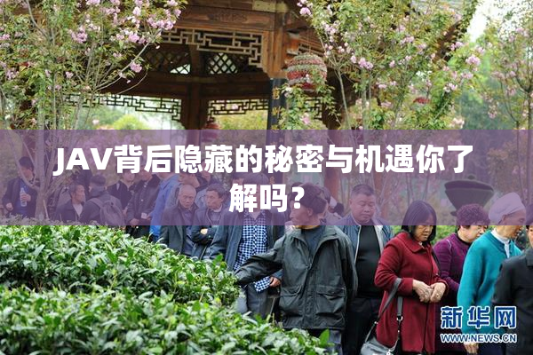 JAV背后隐藏的秘密与机遇你了解吗？