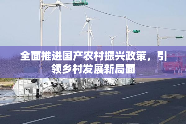 全面推进国产农村振兴政策，引领乡村发展新局面