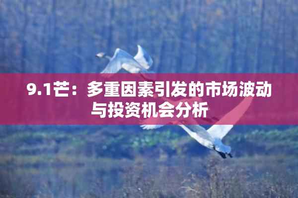 9.1芒：多重因素引发的市场波动与投资机会分析
