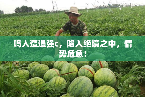 鸣人遭遇强c，陷入绝境之中，情势危急！