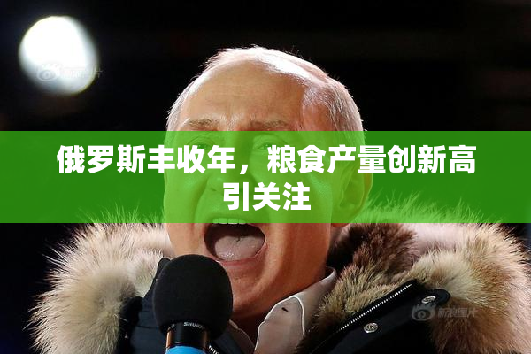 俄罗斯丰收年，粮食产量创新高引关注