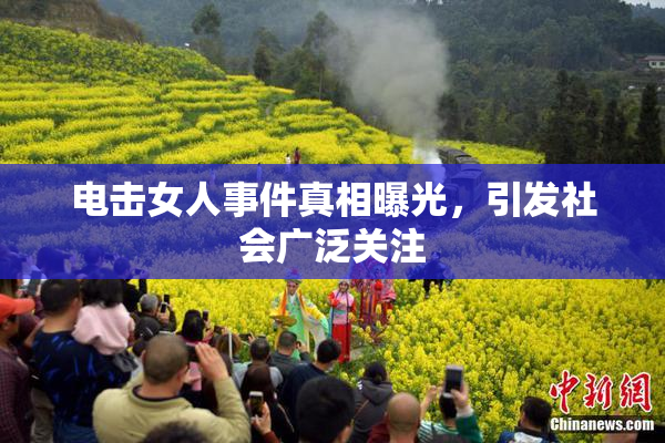 电击女人事件真相曝光，引发社会广泛关注