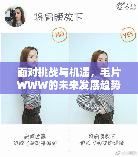 面对挑战与机遇，毛片WWW的未来发展趋势分析