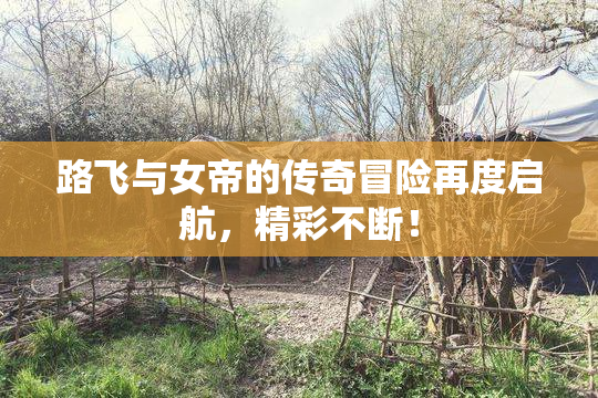 路飞与女帝的传奇冒险再度启航，精彩不断！