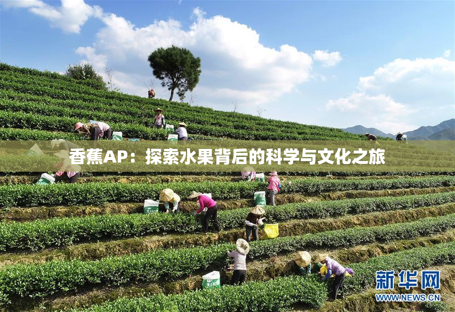 香蕉AP：探索水果背后的科学与文化之旅