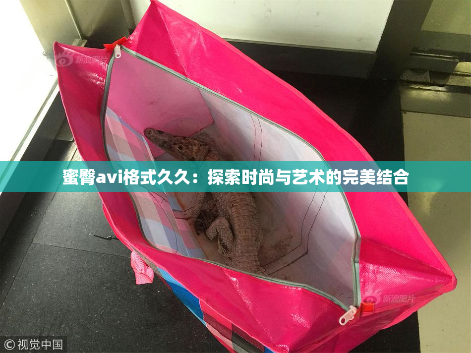 蜜臀avi格式久久：探索时尚与艺术的完美结合