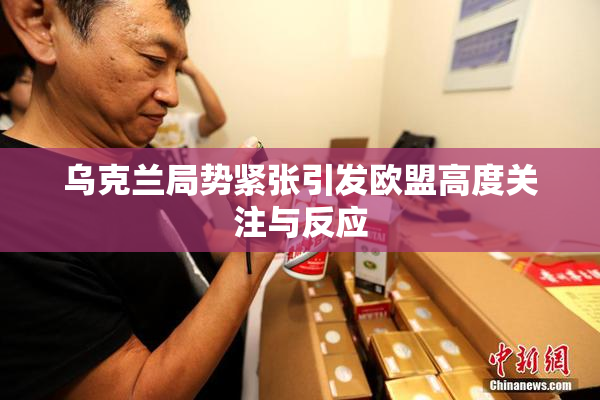 乌克兰局势紧张引发欧盟高度关注与反应