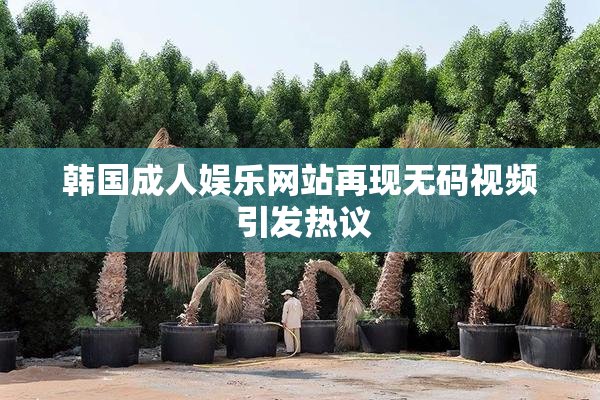 韩国成人娱乐网站再现无码视频 引发热议