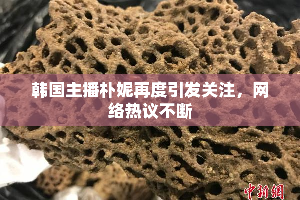韩国主播朴妮再度引发关注，网络热议不断