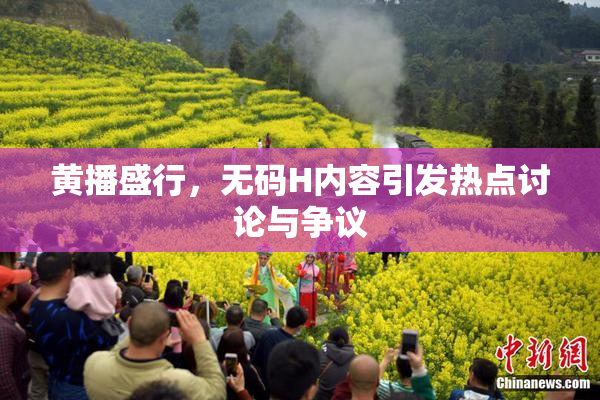 黄播盛行，无码H内容引发热点讨论与争议