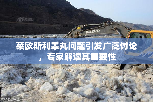 莱欧斯利睾丸问题引发广泛讨论，专家解读其重要性