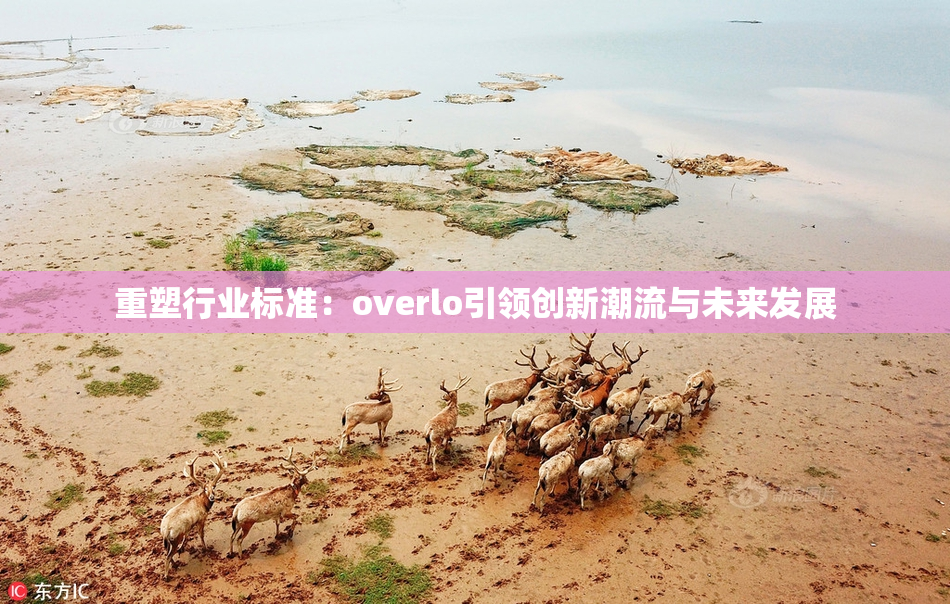 重塑行业标准：overlo引领创新潮流与未来发展