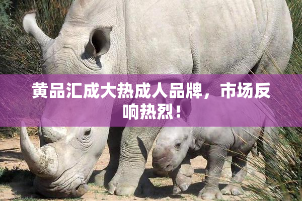 黄品汇成大热成人品牌，市场反响热烈！