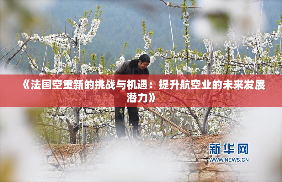 《法国空重新的挑战与机遇：提升航空业的未来发展潜力》