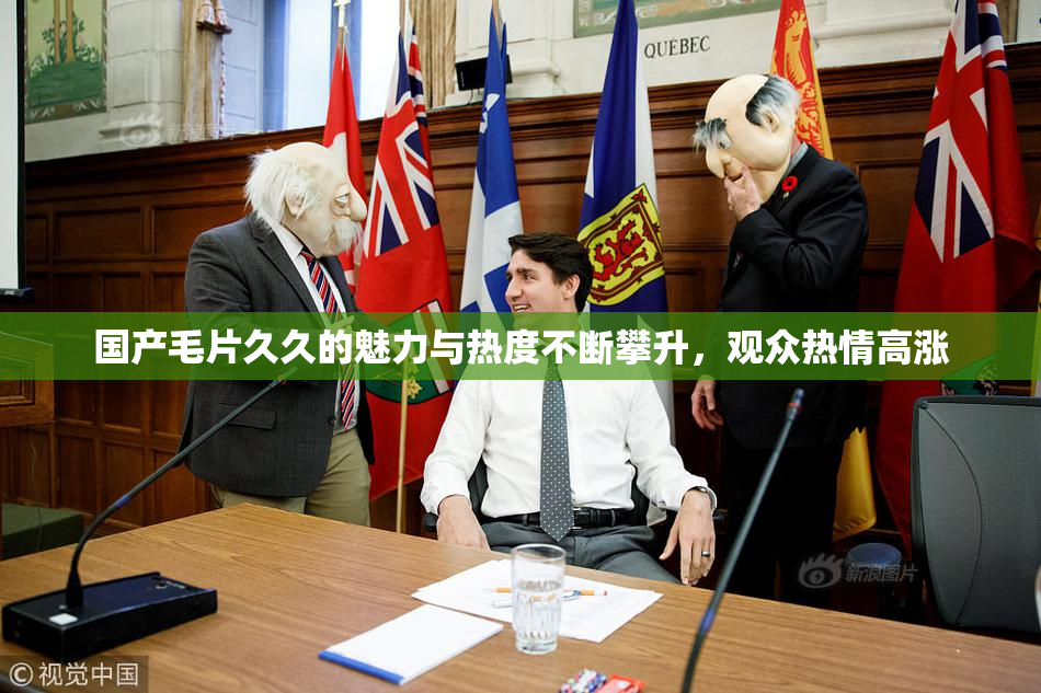 国产毛片久久的魅力与热度不断攀升，观众热情高涨