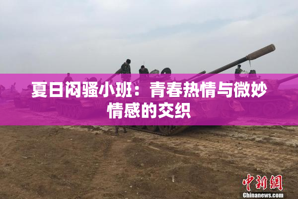 夏日闷骚小班：青春热情与微妙情感的交织