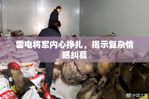 雷电将军内心挣扎，揭示复杂情感纠葛