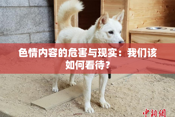 色情内容的危害与现实：我们该如何看待？