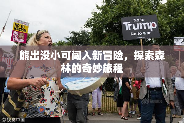 熊出没小可闯入新冒险，探索森林的奇妙旅程