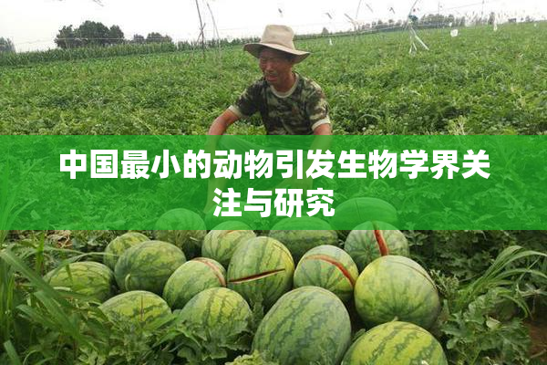中国最小的动物引发生物学界关注与研究