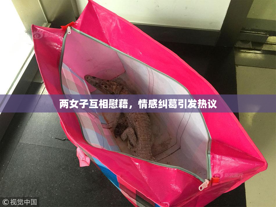 两女子互相慰藉，情感纠葛引发热议