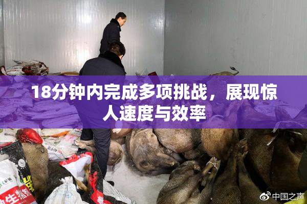 18分钟内完成多项挑战，展现惊人速度与效率