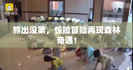 熊出没第，惊险冒险再现森林奇遇！