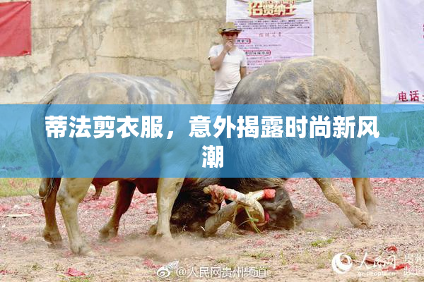 蒂法剪衣服，意外揭露时尚新风潮