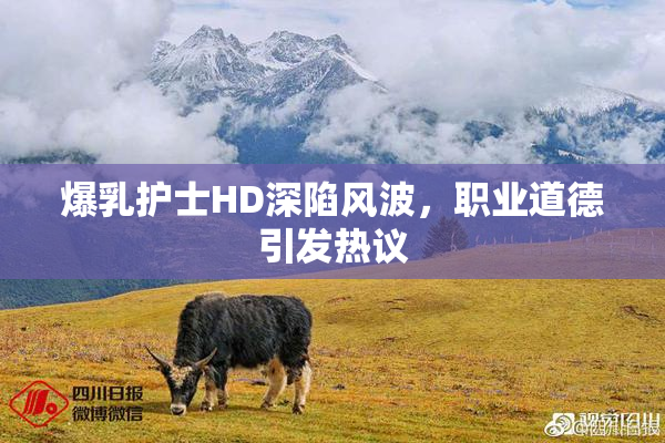 爆乳护士HD深陷风波，职业道德引发热议